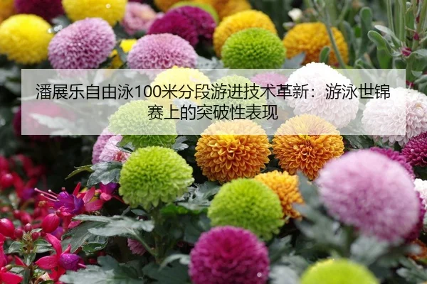 潘展乐自由泳100米分段游进技术革新：游泳世锦赛上的突破性表现